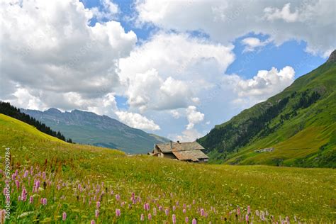 Idyllische Alm Stock Foto Adobe Stock