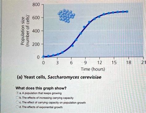 Solved 800 82 600 3 400 H 200 12 15 Time Hours A Yeast Cells Saccharomyces Cerevisiae 18