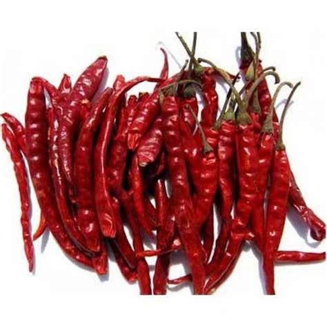 Dry Red Chilli At Rs 90 Kilogram Dry Red Chili In Guntur ID