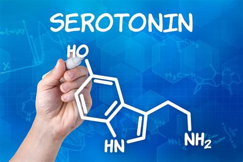 Serotonina Y Depresi N La Paradoja De La Serotonina