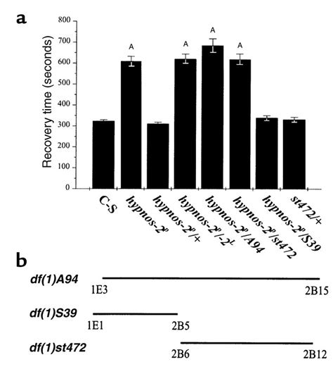 JCI - Mutation in pre-mRNA adenosine deaminase markedly attenuates ... 