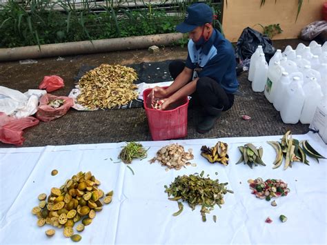 Pembuatan Eco Enzyme Sebagai Solusi Pengolahan Sampah Organik Binus