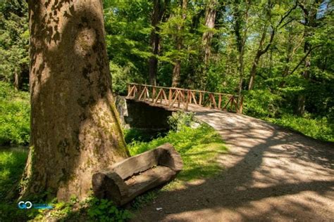 Parcul Dendrologic Simeria Go Hunedoara