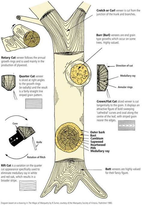 Rotary Peeling Or Slicing Different Ways To Cut Veneer Architecture