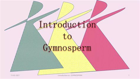 Gymnosperm Ppt