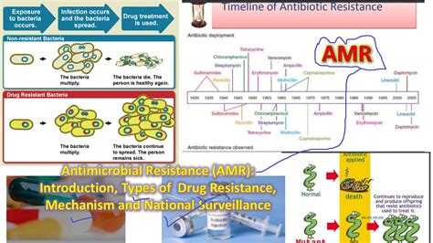 Antimicrobial Resistance Amr Introduction Types Of Drug Resistance