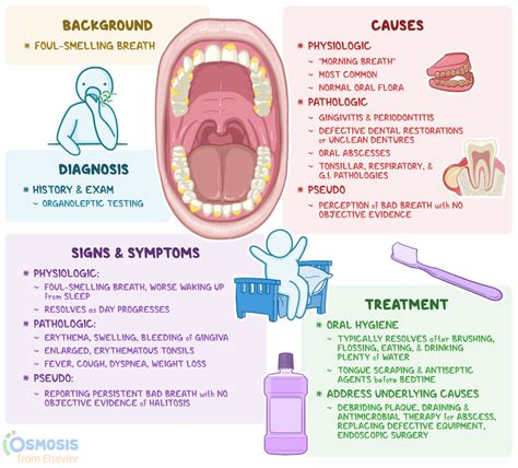 Halitosis What Is It Causes Symptoms And More Osmosis