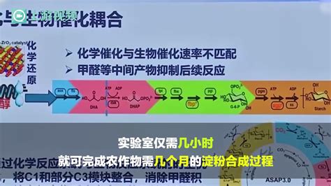 渝视频丨我国实现从二氧化碳到淀粉的全合成凤凰网视频凤凰网