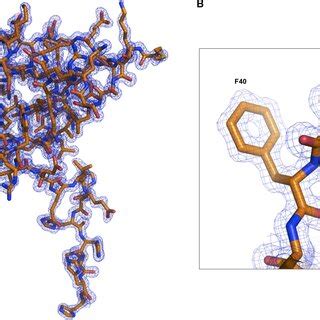 Highresolution Crystal Structure Of Acrif A Quality Of The