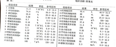 我的附睾炎治好了，分享一下我的治疗经验 知乎