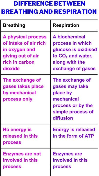 Difference Between Breathing And Respiration Class 10 Science Biology Ch 5 Life Processes