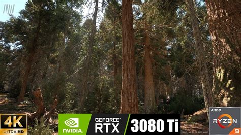 4K UNREAL ENGINE 5 1 REDWOOD FOREST BIOME NANITE LUMEN RTX