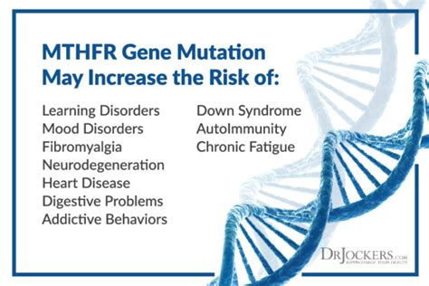 What Is The Mthfr Gene Mutation And Its Role In Health