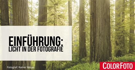 Einführung Licht In Der Fotografie Fotoschule