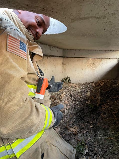 Photos Round Rock Firefighters Rescue Ducklings From Storm Drain