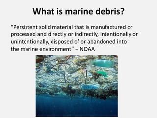 Marine debris discussion | PPT