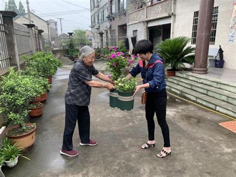 謝塘鎮：庭院小美聚合鄉村大美 每日頭條