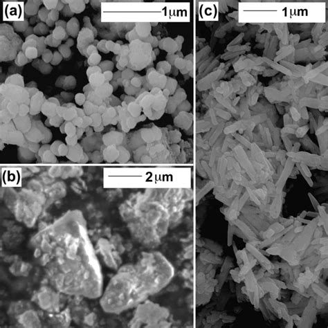 Sem Images Of Inorganic Particles A Tio B Kaolin C Caco