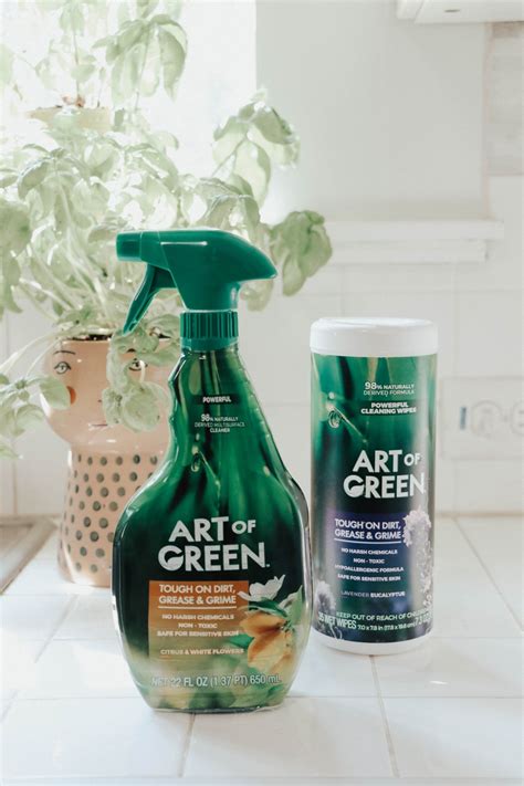 Eco-Friendly Cleaning Products | Green Cleaning with Art of Green