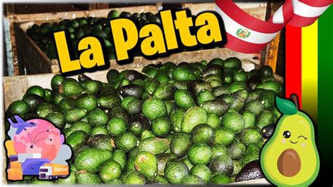 Palta Peruana Per Dominar El Mercado Mundial De Palta Superar