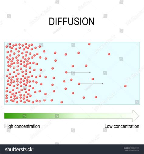 Categoría Diffusion Process De Imágenes Fotos De Stock E