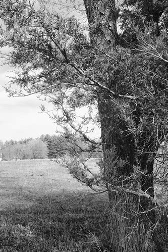 Kettle Moraine State Forest Lapham Peak Unit Fujifilm X10