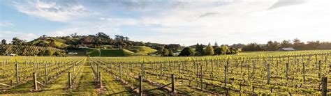 Te Mata Estate Find Cellar Doors