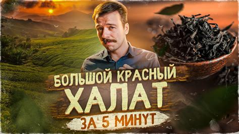 Да Хун Пао: как выбрать, эффект, тонкости | Art of Tea, китайский чай ...