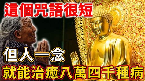 美國科學家證實，這個咒語雖然很短，但人只要念一遍，就能治癒八萬四千種病！ 禪語 Youtube