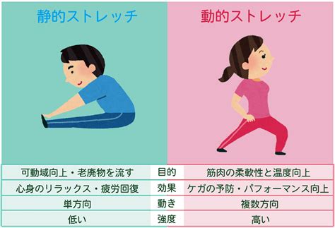 「静的ストレッチは運動前にやってもok！」 最新の研究からわかった真実とは 先取り！健康生活主義