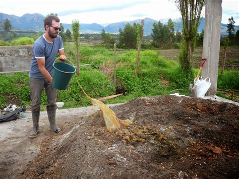 Proyecto De Finca Org Nica Elaboraci N De Bocashi Abono Precocinado