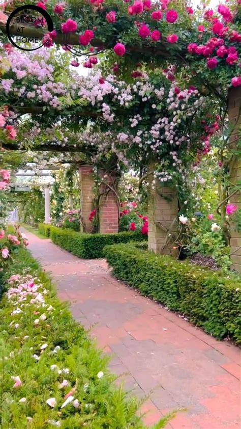 29 Stunning Aesthetic Gardens To Inspire Your Green Thumb In 2024