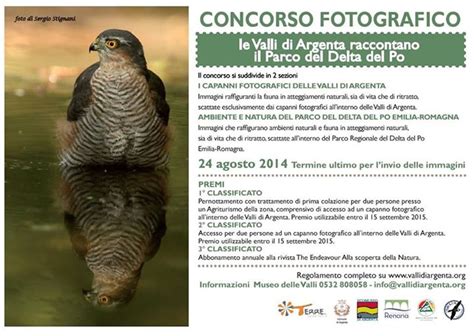 Concorso Fotografico Le Valli Di Argenta Raccontano Il Parco Del Delta