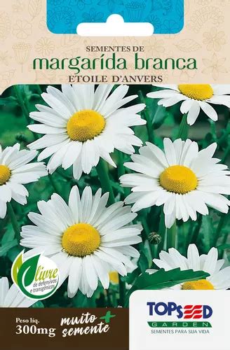 Sementes Margarida Branca Etoile Danvers Topseed