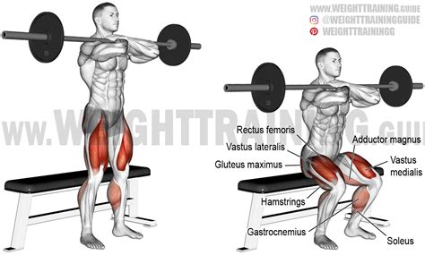 Smith Machine Barbell Hack Squat