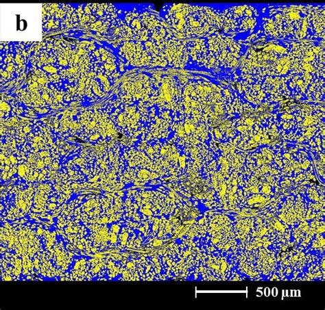 SEM Section Images Of A Untreated And B NaOH 5 Treated Flax