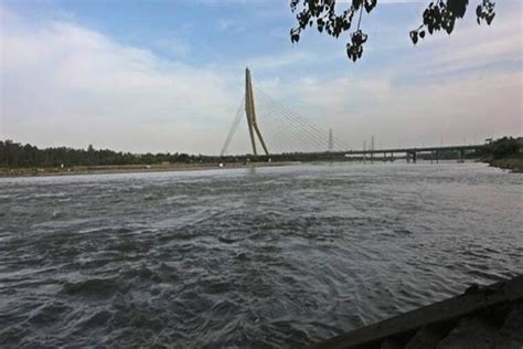 Delhi Yamuna Water Level Recedes Below Danger Mark Science News The Financial Express