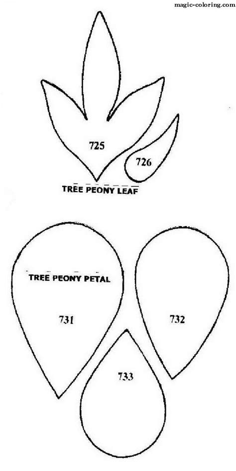 Crepe Paper Flower Templates Free - Printable Templates