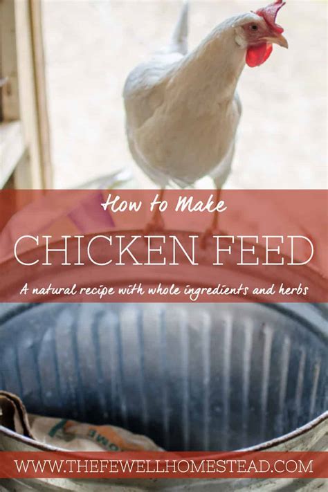 How To Make Homemade Chicken Feed Amy K Fewell