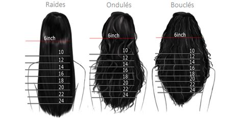 Options Pour Le Longeur Des Cheveux