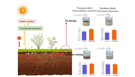 A mechanism framework for the response of leaf litter decomposition to... | Download Scientific ...