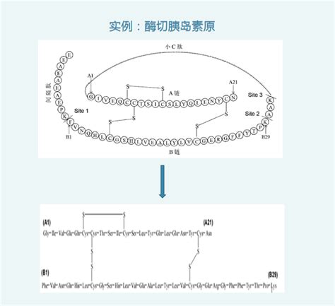 重组胰蛋白酶 10mg瓶 包装规格可定制品牌：浦泰生物杭州 盖德化工网