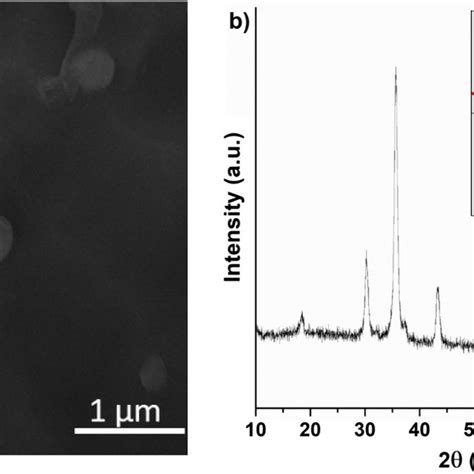 A Sem Micrograph Of Magnetite Particles And B Xrd Pattern Of Download Scientific Diagram