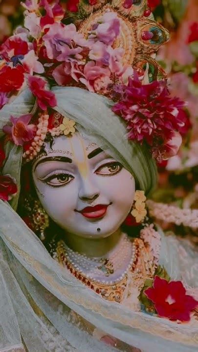 Radhe Radhe 🙏🙏🥰🥰 Radhakrishna Radharani Vrindavan Love Radha