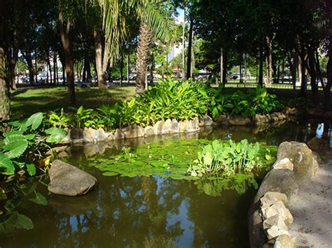 Seis Jardins De Burle Marx Em Recife S O Tombados Pelo Iphan Hoje