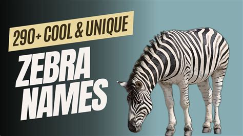 390+ Cool Zebra Names With Meaning + Generator