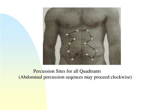 Ppt Assessment Of The Abdomen Powerpoint Presentation Free Download