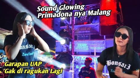 Sound Glowing Primadona Malang Produk Uap Gak D Ragukan Lagi Alva R