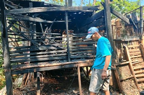 Kandang Terbakar Kambing Terpanggang Bpbd Kudus Hati Hati Bakar