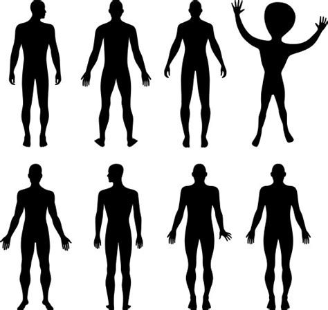 Human Body Front Back Outline Vector Images Over 650